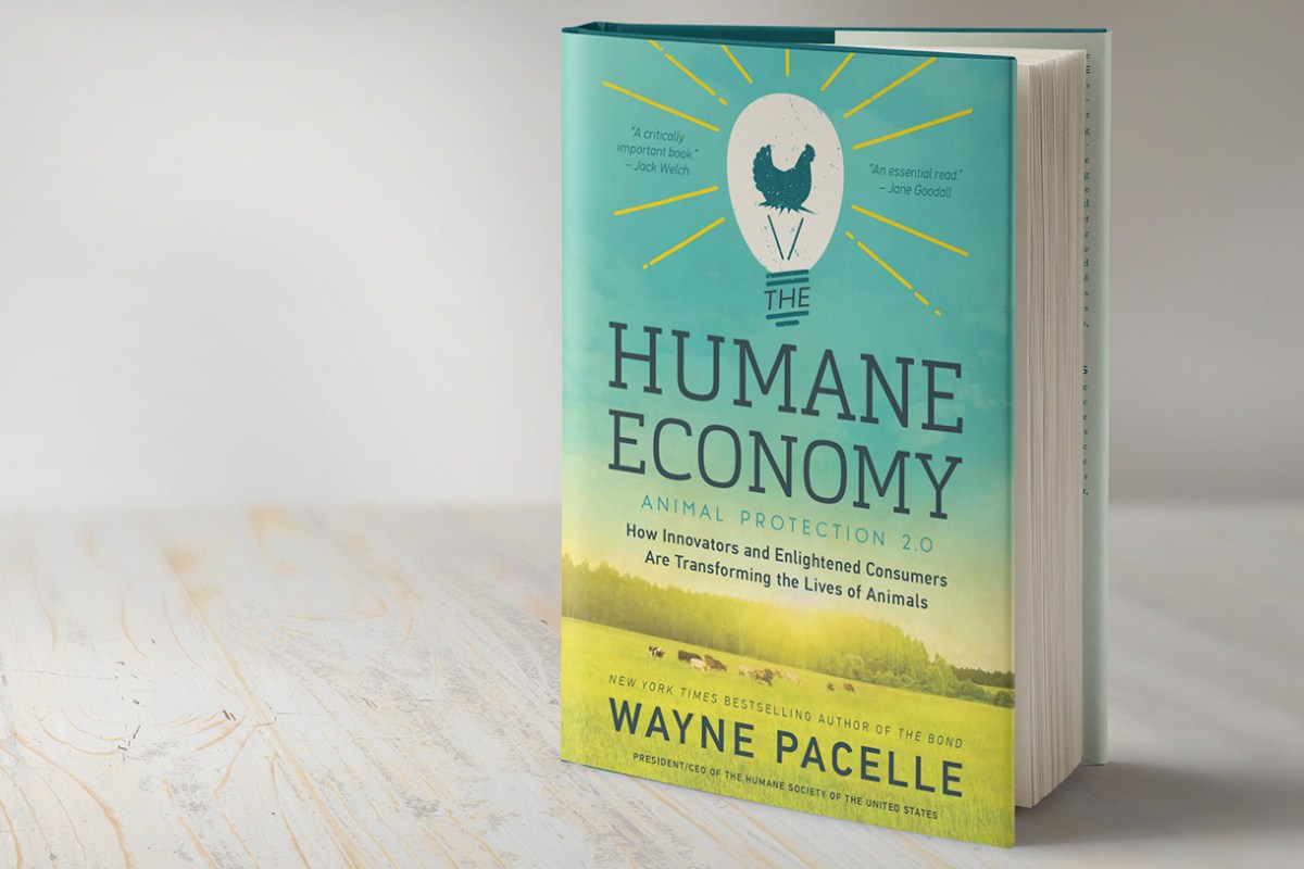July Mindful Book Club – The Humane&nbsp;Economy